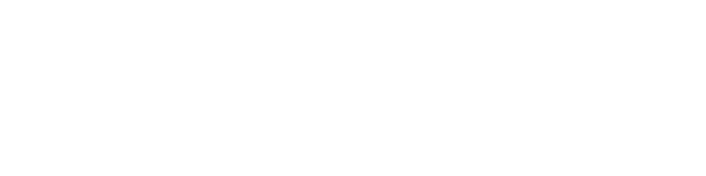 Janus Assurance Re