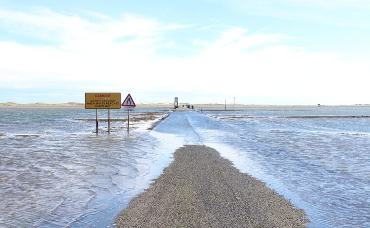 flood insurance, reinsurance, reinsurer, Janus Assurance Re, C. Constantin Poindexter;