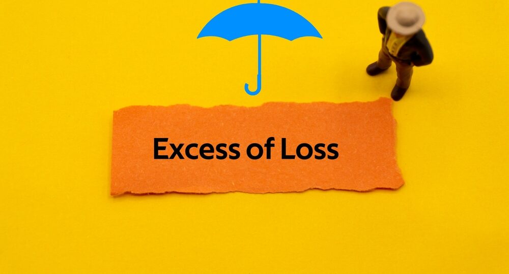 excess of loss, XOL, reinsurance, reinsurer, reaseguro, Janus Assurance Re, C. Constantin Poindexter, cyber insurance, cyber coverage